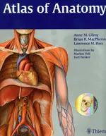 Atlas of Anatomy - Gilroy Anne M.