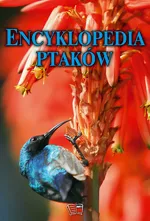 Encyklopedia ptaków - Outlet