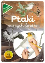 Ptaki naszych lasów Część 2 - Katarzyna Kopiec-Sekieta