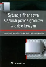 Sytuacja finansowa śląskich przedsiębiorstw w dobie kryzysu - Joanna Błach