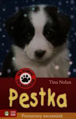 Na pomoc zwierzakom Pestka Porzucony szczeniak - Tina Nolan