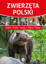 Zwierzęta Polski - Outlet