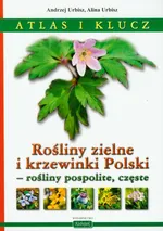 Rośliny zielne i krzewinki Polski rośliny pospolite, częste Atlas i klucz - Alina Urbisz