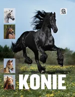 Konie - Outlet - Karolina Wengerek
