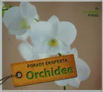 Orchidee Porady eksperta - Folko Kullmann