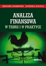 Analiza finansowa w teorii i w praktyce - Outlet - Grzegorz Gołębiowski