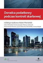 Doradca podatkowy podczas kontroli skarbowej - Michał Wilk
