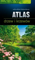Atlas drzew i krzewów - Outlet - Marek Kosiński
