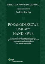 Pozakodeksowe umowy handlowe - Outlet - Przemysław Bryłowski