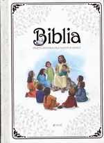 Biblia Święta historia dla naszych dzieci - Outlet