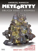 Meteoryty Oblicza gości z kosmosu - Outlet - Andrzej Manecki