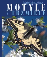 Najpiękniejsze motyle i trzmiele - Outlet - Jarosław Bury