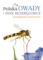 Polska Owady i inne bezkręgowce Encyklopedia ilustrowana - Outlet