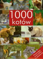 1000 kotów - Outlet