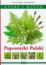 Paprotniki Polski Atlas i klucz - Adam Rostański