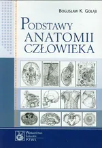Podstawy anatomii człowieka - Outlet - Bogusław Gołąb