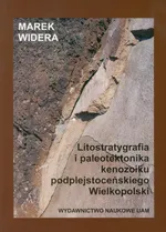 Litostratygrafia i paleotektonika kenozoiku podplejstoceńskiego Wielkopolski - Marek Widera