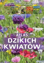 Atlas dzikich kwiatów - Outlet - Małgorzata Mederska