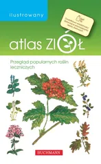 Ilustrowany atlas ziół - Emilia Grzędzicka