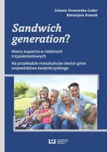Sandwich generation? - Jolanta Grotowska-Leder