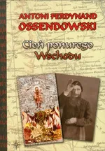Cień ponurego Wschodu - Outlet - Ossendowski Antoni Ferdynand