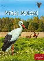 Ptaki Polski - Outlet - Elżbieta Zarych