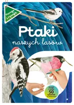 Ptaki naszych lasów Część 1 - Katarzyna Kopiec-Sekieta