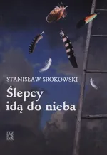Ślepcy idą do nieba - Stanisław Srokowski