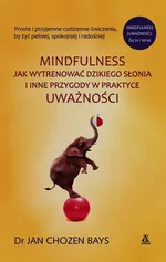 Mindfulness Jak wytrenować dzikiego słonia i inne przygody w praktyce uważności - Bays Chozen Jan
