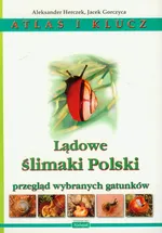 Lądowe ślimaki Polski Atlas i klucz - Outlet - Jacek Gorczyca