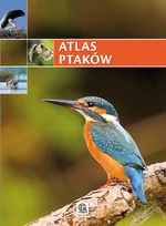 Atlas ptaków - Outlet - Praca zbiorowa