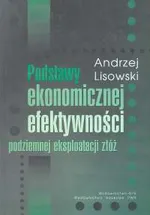 Podstawy ekonomicznej efektywności podziemnej eksploatacji złóż - Outlet - Andrzej Lisowski