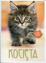 Kocięta - Bettina Stockfleth