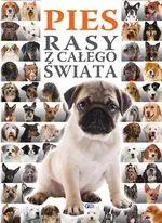 Pies Rasy z całego świata - Outlet
