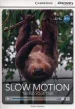 Slow Motion: Taking Your Time - Karen Holmes