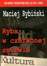 Ryba w czerwonej zalewie - Outlet - Maciej Rybiński