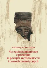 Naczynia kamionkowe z Poznania w późnym średniowieczu i czasach nowożytnych - Andrzej Kowalczyk