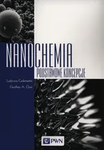 Nanochemia - Outlet - Ludovico Cademartiri