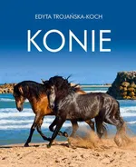 Konie - Outlet - Edyta Trojańska-Koch