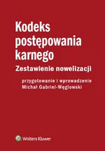 Kodeks postępowania karnego - Michał Gabriel-Węglowski