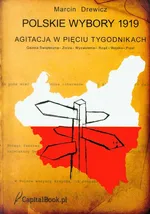 Polskie wybory 1919 - Marcin Drewicz