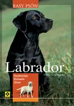 Labrador Rasy psów - Wagner Heike E.