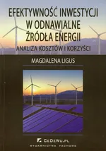 Efektywność inwestycji w odnawialne źródła energii - Magdalena Ligus
