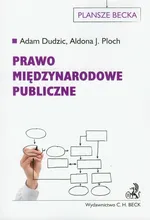 Prawo międzynarodowe publiczne - Adam Dudzic