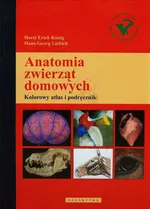 Anatomia zwierząt domowych - Konig Horst Erich