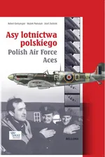 Asy lotnictwa polskiego - Outlet - Robert Gretzyngier