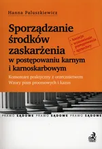 Sporządzanie środków zaskarżenia w postępowaniu karnym i karnoskarbowym - Hanna Paluszkiewicz