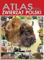 Atlas zwierząt Polski - Outlet