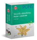 Pons Słownik obrazkowy polski angielski - Outlet