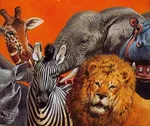 Zwierzęta Safari - Outlet